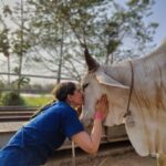 Anagha Bhosale Instagram - When there is love in our heart, Only love will come out. With my Gopinath & Damodar Priya 💙 @govardhan_ecovillage @govardhan_goshala
