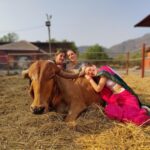 Anagha Bhosale Instagram - If we please who are dear to Krishna, Krishna’s heart willingly becomes conquered -Radhanath Maharaj @govardhan_goshala @govardhan_ecovillage @sisterhealingco @vilmadrulyte @careforcowsvrindavan @bhaktigirls_meet Govardhan Ecovillage