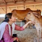 Anagha Bhosale Instagram - As spiritual consciousness expands generosity to serve also expands. - Radhanath Maharaj Hari Hari @radhanathswami @govardhan_goshala @govardhan_ecovillage @careforcowsvrindavan