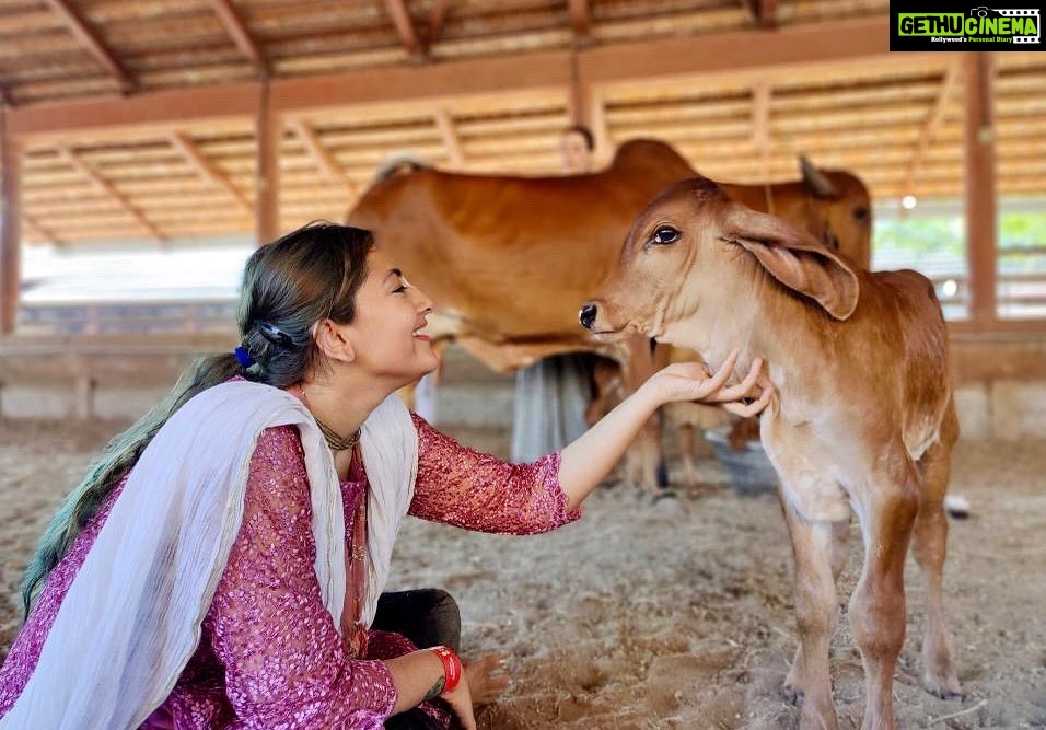 Anagha Bhosale Instagram - As spiritual consciousness expands generosity to serve also expands. - Radhanath Maharaj Hari Hari @radhanathswami @govardhan_goshala @govardhan_ecovillage @careforcowsvrindavan