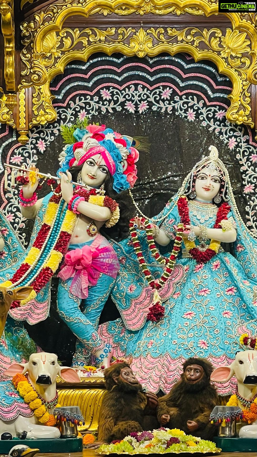 Anagha Bhosale Instagram - 💕राधे राधे💕 . . . . #radheradhe #radhagopinath #iskcon #mumbai