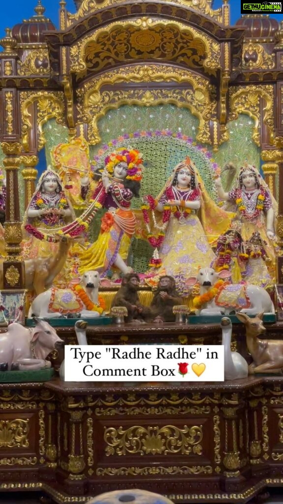 Anagha Bhosale Instagram - @hare_krishna_mumbai ] & Share this reel on your story & with your loved ones..🤗❤️ 💛🌹Radhe Radhe🌹💛 ISKCON Chowpatty - Sri Sri Radha Gopinath Temple