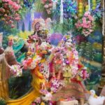 Anagha Bhosale Instagram - Live for these services towards Radha Rani & Hari 🥹🦚 #fewmomentsoflove We are living according to our previous choices but we have the free will to change our destination & the goal of life should be going back to godhead & serving Radha Rani & Krishna, some important aspects are compassion & kindness towards every part & parcel of the lord to purify our existence, hope u all have a beautiful day ahead 🦚♥️