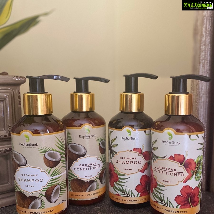 Ananya Instagram - Roots are the foundation of our lives - for example, roots of plants for nature, roots of our customs for our well being, and the roots of our hair for a strong personality. Elephantrunk has blended all the three in this bottle. It has the natural elements from plants and Kerala's custom ayurvedic practices of haircare to nourish and strengthen our hair roots which will enhance our natural beauty. The popular variant that I will try is Hibiscus. There is Aloevera, Coconut and Shikakai as well. Do you know, it is all-natural, free of harmful chemicals like silicone, sulphate and paraben. No false promises, but trust me, you can use this shampoo every day and nourish your hair from the roots. Don't forget to try and thank me for introducing you to this natural range of shampoos and conditioners from Elephantrunk. Follow their Instagram page and try this product. @elephantrunk_kerala . #keralanatural #naturalhairproduct