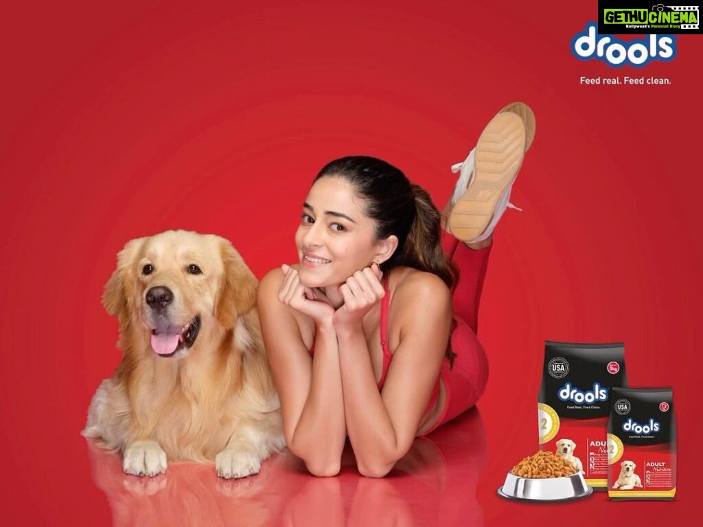 Ananya Panday Instagram - Looking for a high on nutrition, day-to-day diet for your paw pal? Drools Daily Nutrition is made with 100% real chicken & eggs with zero by-products. This delicious meal enhances your dog’s activity levels, facilitates healthy bones, muscles and teeth, while boosting their immune & digestive systems! Grab a pack of real goodness with @droolsindia ! ❤️🐾 #ad