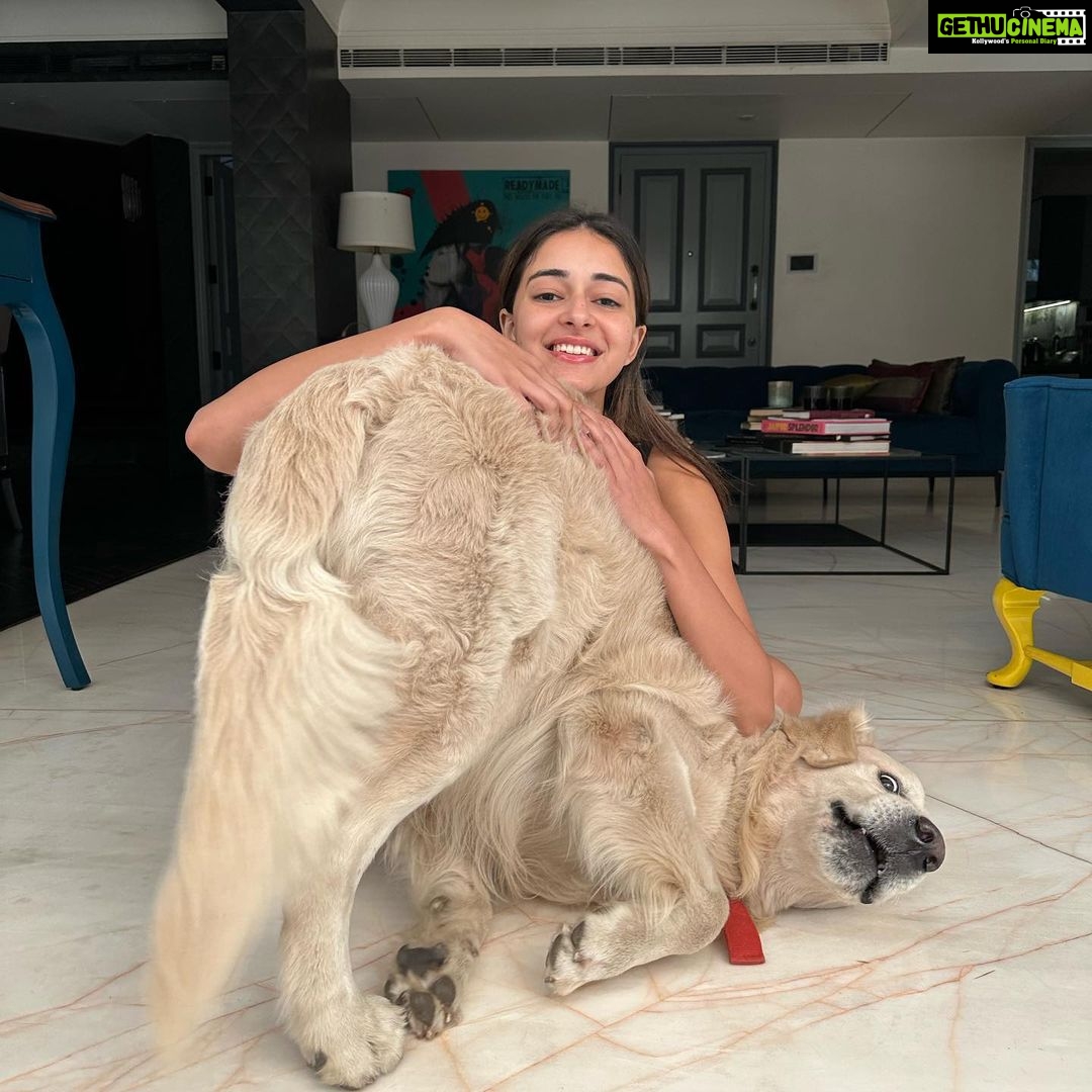 Ananya Panday Instagram - I am clearly very needy for his love and affection 🫠