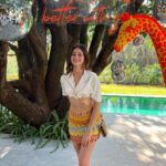 Ananya Panday Instagram - welcome to the jungle 🐅