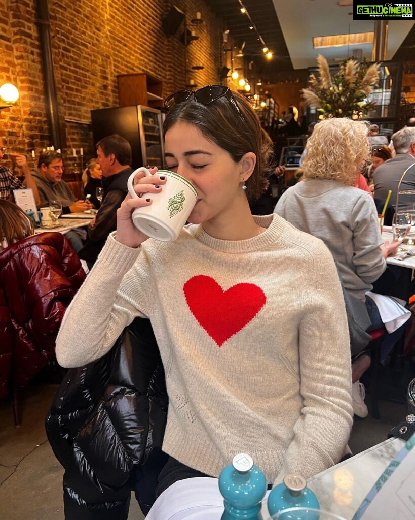 Ananya Panday Instagram - 48hrs in NYC ❤️ nothing quite like it 🍂