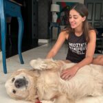 Ananya Panday Instagram - I am clearly very needy for his love and affection 🫠