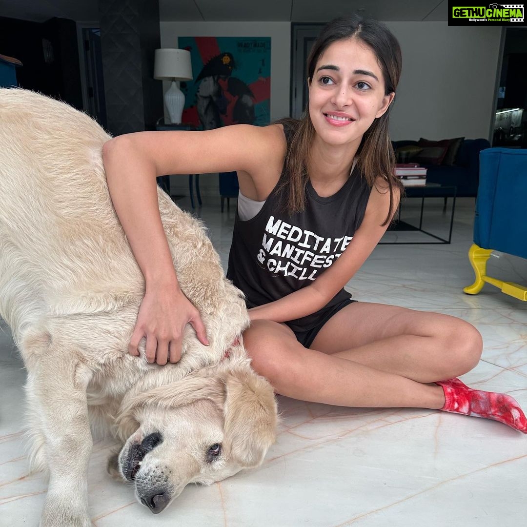 Ananya Panday Instagram - I am clearly very needy for his love and affection ðŸ«