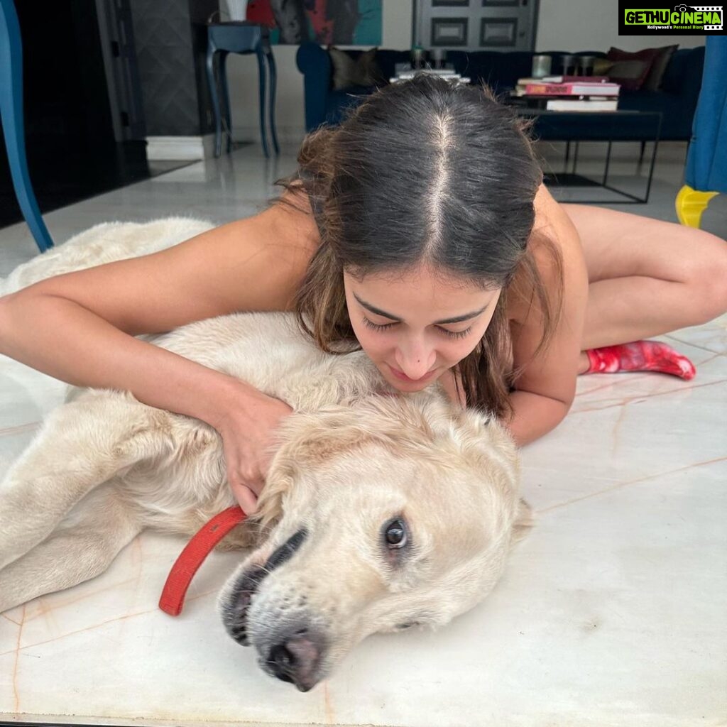 Ananya Panday Instagram - I am clearly very needy for his love and affection 🫠
