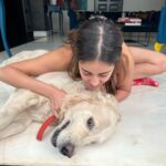 Ananya Panday Instagram - I am clearly very needy for his love and affection 🫠