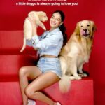 Ananya Panday Instagram - There is no better mood-lifter than an adorable little puppy!! Wouldn’t you agree? ❤️🐶 It’s so important to make sure that your pets are getting the right nutrition through all stages of life. Drools Puppy & Adult Dog food is enriched with the goodness of 100% Real Chicken & Egg with 0 By-products & Fillers Keep your pets happy & healthy with Drools Daily Nutrition- Feed Real Feed Clean 🐾 @droolsindia #droolsindia #petfood #pets #petparents #dogfood #puppy #pethealth #ad