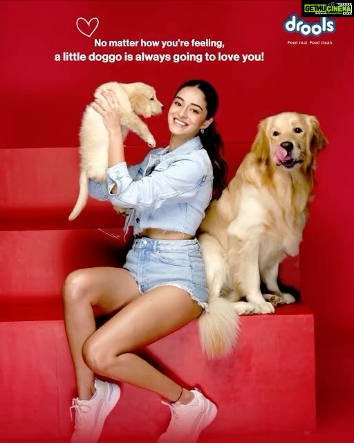 Ananya Panday Instagram - There is no better mood-lifter than an adorable little puppy!! Wouldn’t you agree? ❤️🐶 It’s so important to make sure that your pets are getting the right nutrition through all stages of life. Drools Puppy & Adult Dog food is enriched with the goodness of 100% Real Chicken & Egg with 0 By-products & Fillers Keep your pets happy & healthy with Drools Daily Nutrition- Feed Real Feed Clean 🐾 @droolsindia #droolsindia #petfood #pets #petparents #dogfood #puppy #pethealth #ad