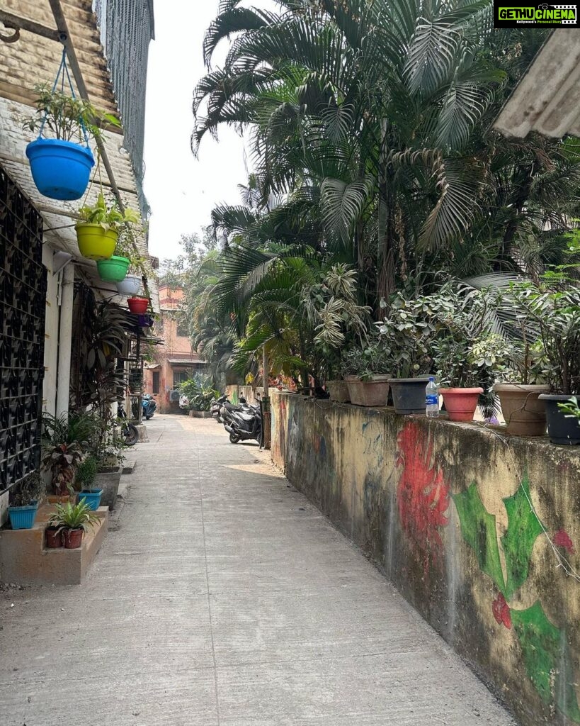 Ananya Panday Instagram - Nothing like walking around Bandra on a Sunday afternoon 🐈