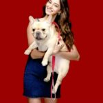 Ananya Panday Instagram - You know your pets love you unconditionally & are the most loyal companions you could ever find! Your pets deserve nothing but the best & that’s why I choose @droolsindia ! ❤️ Drools Daily Nutrition is made with 100% Real Chicken & Egg, keeping your dogs happy, healthy & functioning at their optimum 🐾 Drools- Feed Real Feed Clean #droolsindia #pets #petlovers #petparents #petfood #dogfood #ad