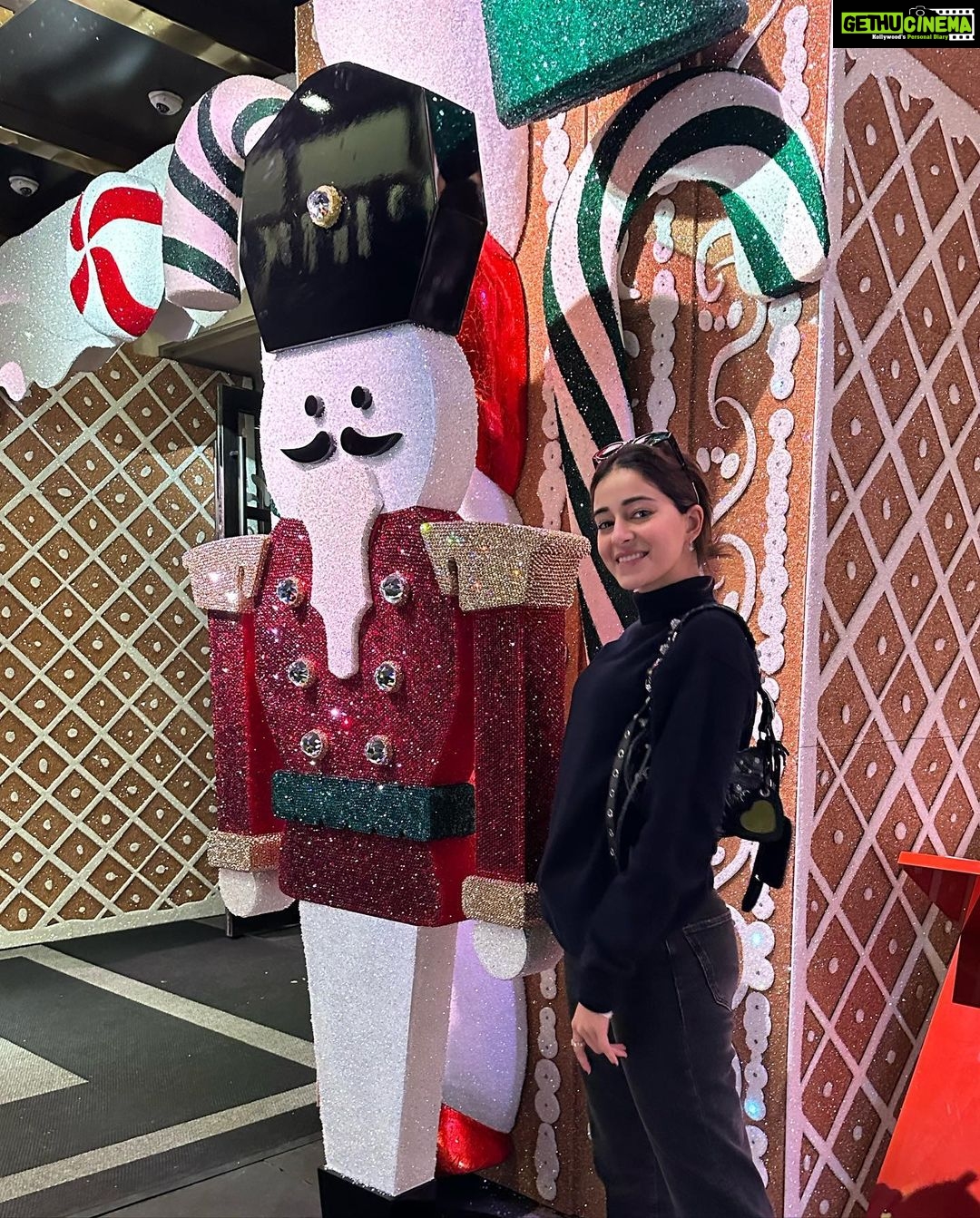 Ananya Panday Instagram - 48hrs in NYC ❤️ nothing quite like it 🍂