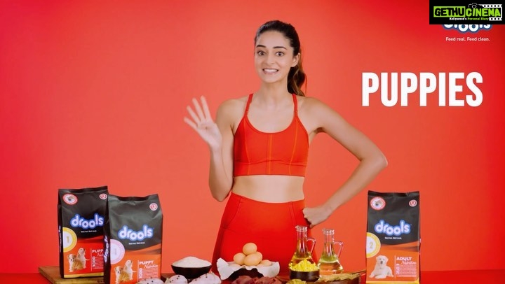 Ananya Panday Instagram - I trust only @droolsindia to take care of Fudge & Astro’s complete nutrition. Drools Daily Nutrition is made with 100% Real chicken and 0 by -products or fillers. Watch your dogs grow healthier and happier, one day at time with Drools ! Feed Real. Feed Clean ❤️🐾 #drools #droolsindia #pethealth #dailynutrition #petfood #dogfood #petparents #petnutrition #