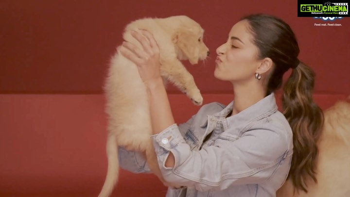 Ananya Panday Instagram - Focus on your dog’s health & growth with @droolsindia Drools Focus Super Premium is a single grain formula & has no corn, soya or wheat. The Focus is on more meat & less grains with the highest quality protein making it perfect for your loved pet! The best part is, it’s available for all ages- Starter, Pup & Adult to ensure your dog gets the right nutrition throughout its growth cycle 😁 Drools Focus, Feed Real Feed Clean ❤️ #droolsindia #droolsfocus #cleannutrition #petparents #feedrealfeedclean #pethealth