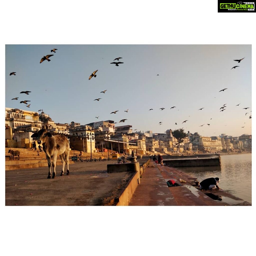Anarkali Marikar Instagram - Morning vibes at pushkar🌄 Pushkar Lake