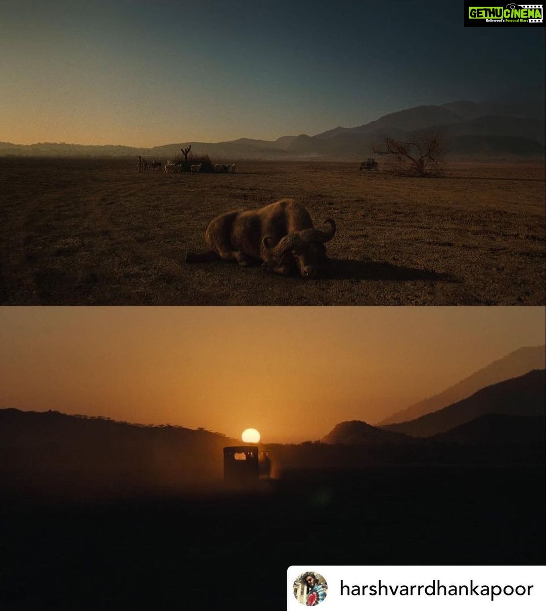 Anil Kapoor Instagram - #1yearofThar Posted @withregram • @harshvarrdhankapoor 1 year of my first film as producer and 5 th credit as an actor.. several years in the making and we finally were able to bring this never before seen world to life. Thar personally for me is the film I’m post proud of just because of how difficult it was to get it made and put it out there , it taught me that perseverance and conviction always pays and that there is still a place for authenticity and originality in a mostly plastic and superficial world. Made a friend for life @rajsingh_chaudhary got to work with @anilskapoor for the second time after ak Vs ak he also won his first ott filmfare award for this while I got my first best actor and best film nomination. @shredevdube our miracle cinematographer who created waves with her work and won the Asian academy award for cinematography the brilliant @fatimasanashaikh forever grateful to her that she said yes to this film that so many mainstream actresses today would’ve shyed away from @jitendrajoshi27 unbelievable actor and an even better human being @ajayjayanthi for his magical score @artb for her patience during the edit there were so many cuts and reshoots that further improved the film she handled our mistakes with so much patience and grace and love I will be forever grateful to you @netflix_in @chetansjhawar @nehacolours for backing a film most wouldn’t and standing by it thank you very much. Lastly but most importantly the opportunity to work with @satishkaushik2178 I will be eternally grateful for we miss you everyday .For those that haven’t seen our moody slow burn thriller it’s on Netflix