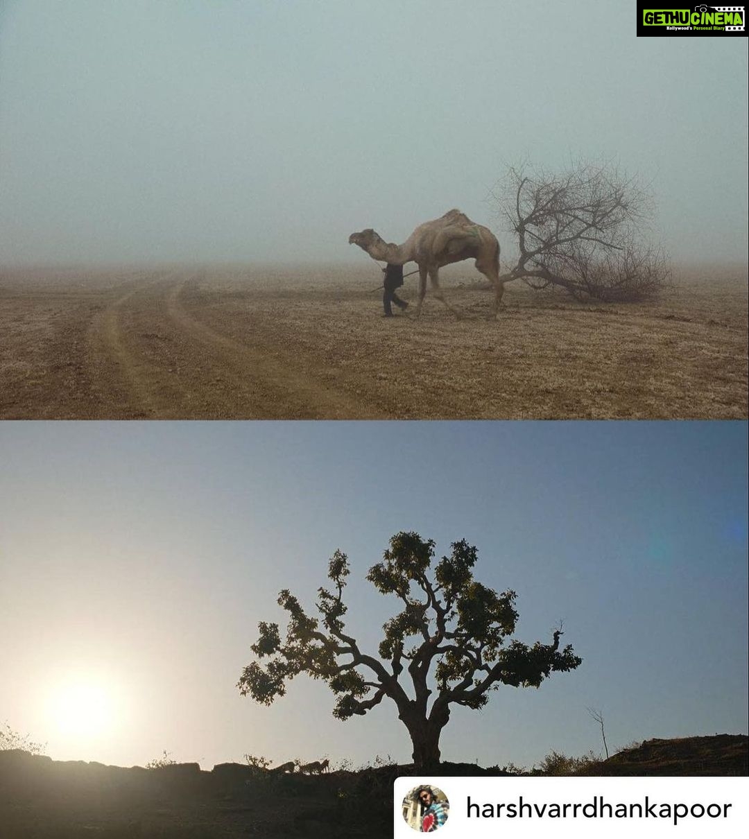 Anil Kapoor Instagram - #1yearofThar Posted @withregram • @harshvarrdhankapoor 1 year of my first film as producer and 5 th credit as an actor.. several years in the making and we finally were able to bring this never before seen world to life. Thar personally for me is the film I’m post proud of just because of how difficult it was to get it made and put it out there , it taught me that perseverance and conviction always pays and that there is still a place for authenticity and originality in a mostly plastic and superficial world. Made a friend for life @rajsingh_chaudhary got to work with @anilskapoor for the second time after ak Vs ak he also won his first ott filmfare award for this while I got my first best actor and best film nomination. @shredevdube our miracle cinematographer who created waves with her work and won the Asian academy award for cinematography the brilliant @fatimasanashaikh forever grateful to her that she said yes to this film that so many mainstream actresses today would’ve shyed away from @jitendrajoshi27 unbelievable actor and an even better human being @ajayjayanthi for his magical score @artb for her patience during the edit there were so many cuts and reshoots that further improved the film she handled our mistakes with so much patience and grace and love I will be forever grateful to you @netflix_in @chetansjhawar @nehacolours for backing a film most wouldn’t and standing by it thank you very much. Lastly but most importantly the opportunity to work with @satishkaushik2178 I will be eternally grateful for we miss you everyday .For those that haven’t seen our moody slow burn thriller it’s on Netflix
