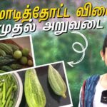 Anitha Sampath Instagram - Terrace garden harvesting video guys😇 Anitha sampath vlogs Link in bio and story😇