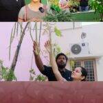Anitha Sampath Instagram - Our terrace garden video is out now guys.. full video on our youtube channel “anitha sampath vlogs” Purchased our plants from @bumitraa porur Link in story