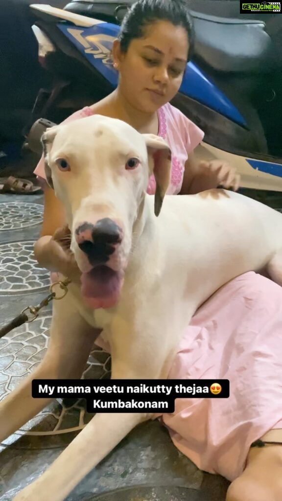 Anitha Sampath Instagram - 🐕great dane ah pathu ithana nalaa bayandhome..evlo pasamana naikutty ah iruku🥹 Video courtesy:Naikutty owner @nilaa_bridalstudio #anithasampath #dogbreed #doglove #greatdane #puppies