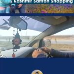 Anitha Sampath Instagram - Got a chance to touch the original kungumapoo in the real place where it was harvested 😃 video link in bio and story. Shop details in vlog