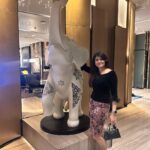 Anjena Kirti Instagram - 🎉✨ #SpiritAnimal 🐘💕 Novotel Bangkok Sukhumvit 20