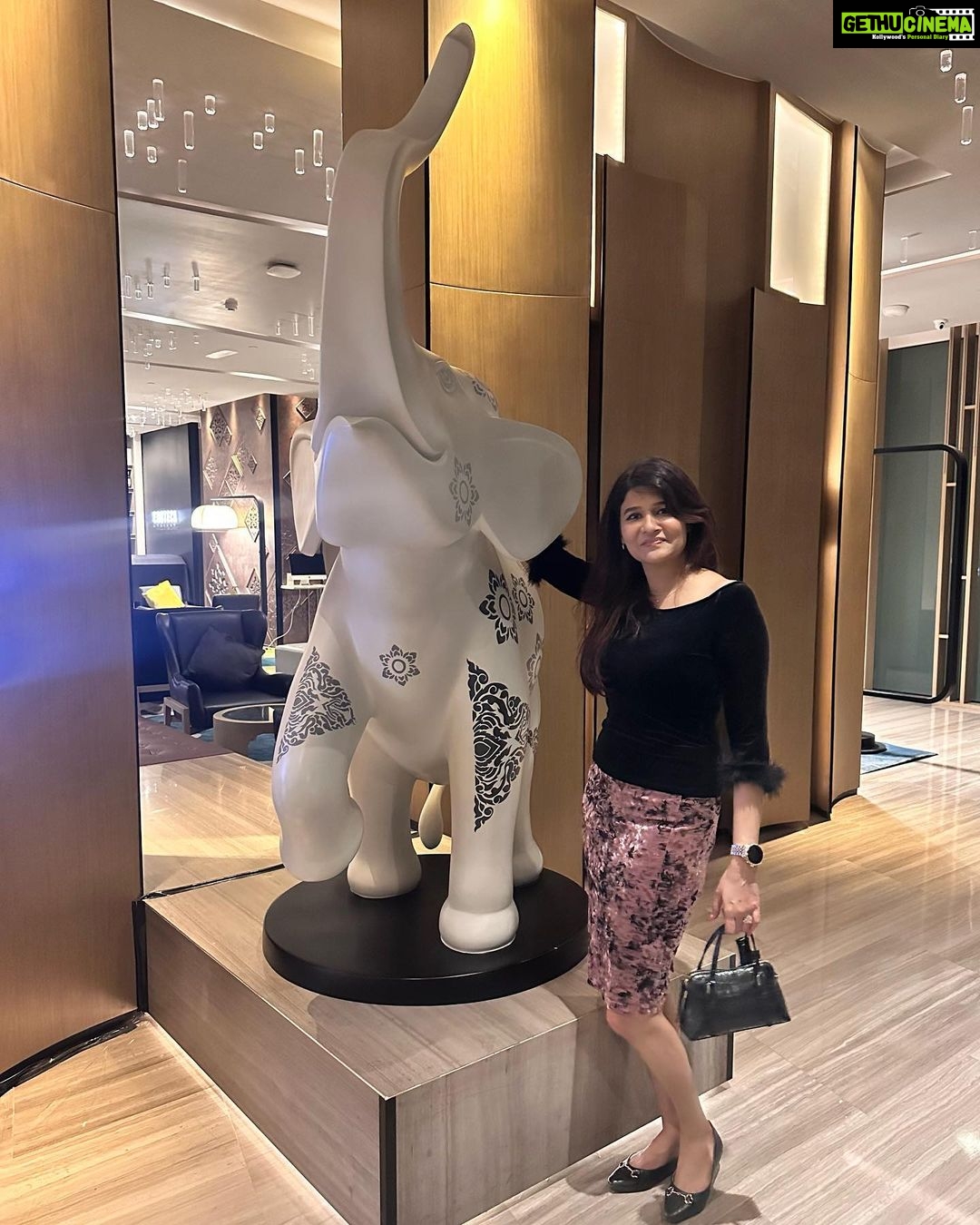 Anjena Kirti Instagram - 🎉✨ #SpiritAnimal 🐘💕 Novotel Bangkok Sukhumvit 20