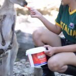 Anju Kurian Instagram - 🦘 🦜 🐨 🦜🦘 📍- Australia 🇦🇺 #traveltheworld #animallovers #kangaroo #koala #naturegram #instatravel