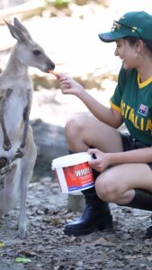 Anju Kurian Instagram - 🦘 🦜 🐨 🦜🦘 📍- Australia 🇦🇺 #traveltheworld #animallovers #kangaroo #koala #naturegram #instatravel