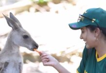 Anju Kurian Instagram - 🦘 🦜 🐨 🦜🦘 📍- Australia 🇦🇺 #traveltheworld #animallovers #kangaroo #koala #naturegram #instatravel