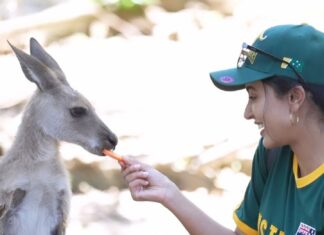 Anju Kurian Instagram - 🦘 🦜 🐨 🦜🦘 📍- Australia 🇦🇺 #traveltheworld #animallovers #kangaroo #koala #naturegram #instatravel