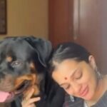 Ann Augustine Instagram - The trio. Oza, Archie n April. My favourites. Forever ready to snuggle and be cuddled. Being around April n Archie made me jump at the chance to adopt my darling Oza. Having these beauties is the one redeeming thing from our daily monotony.❤️ Thank you @shinihas #hugcuddlesnooze#animallovers#reel#firstreel#petlovers#adoptdontshop#indies#rottweilers#shepherds#coffeelover#curls#curlyhair#jewelleryaddict#bestfeelingever#artlover