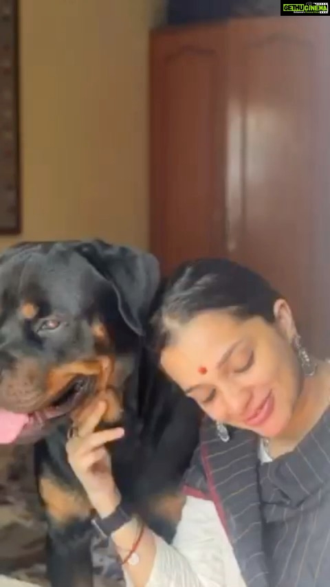 Ann Augustine Instagram - The trio. Oza, Archie n April. My favourites. Forever ready to snuggle and be cuddled. Being around April n Archie made me jump at the chance to adopt my darling Oza. Having these beauties is the one redeeming thing from our daily monotony.❤️ Thank you @shinihas #hugcuddlesnooze#animallovers#reel#firstreel#petlovers#adoptdontshop#indies#rottweilers#shepherds#coffeelover#curls#curlyhair#jewelleryaddict#bestfeelingever#artlover