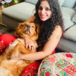 Ann Augustine Instagram – “Red goes with everything and red goes with nothing.” 🧡

📸 @nandan_meera 

#red#bella#dogsofinsta#dubai#bellanbubbles#magichour#loveforred#curlyhair#sweetestdogever#jewelleryaddict#coffeelover#artlover