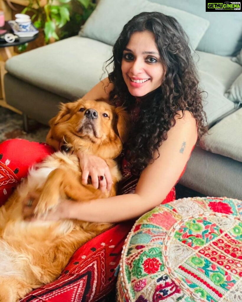 Ann Augustine Instagram - “Red goes with everything and red goes with nothing.” 🧡 📸 @nandan_meera #red#bella#dogsofinsta#dubai#bellanbubbles#magichour#loveforred#curlyhair#sweetestdogever#jewelleryaddict#coffeelover#artlover