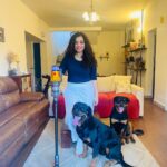 Ann Augustine Instagram - Diwali made easy with @dyson_india 🤌🏽✨🌪️ With festivities in full swing, and with my 🐶🐶we are always in need of finding the most effective way to get the cleaned up! What better way than a cord free, amazing laser light detection in tow to get every corner of our homes dust free and clean! It truly applies the most intelligent cleaning tech with changeable power modes and attachments to ensure nothing is amiss! The intuitive way to get that perfect deep clean in a jiffy! #DysonIndia #DysonV12 #DysonHome #Gifted