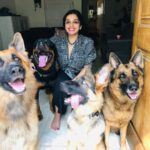 Ann Augustine Instagram - Me. Me & the pack.🧡 #black#me#shepherds#rottweiler#favourites#besties#chokers#silver#silverlove#jewelleryaddict#allblackeverything#ootd#curls#curlyhair#mysquad#coffeelover#artlover