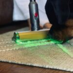Ann Augustine Instagram - Diwali made easy with @dyson_india 🤌🏽✨🌪️ With festivities in full swing, and with my 🐶🐶we are always in need of finding the most effective way to get the cleaned up! What better way than a cord free, amazing laser light detection in tow to get every corner of our homes dust free and clean! It truly applies the most intelligent cleaning tech with changeable power modes and attachments to ensure nothing is amiss! The intuitive way to get that perfect deep clean in a jiffy! #DysonIndia #DysonV12 #DysonHome #Gifted