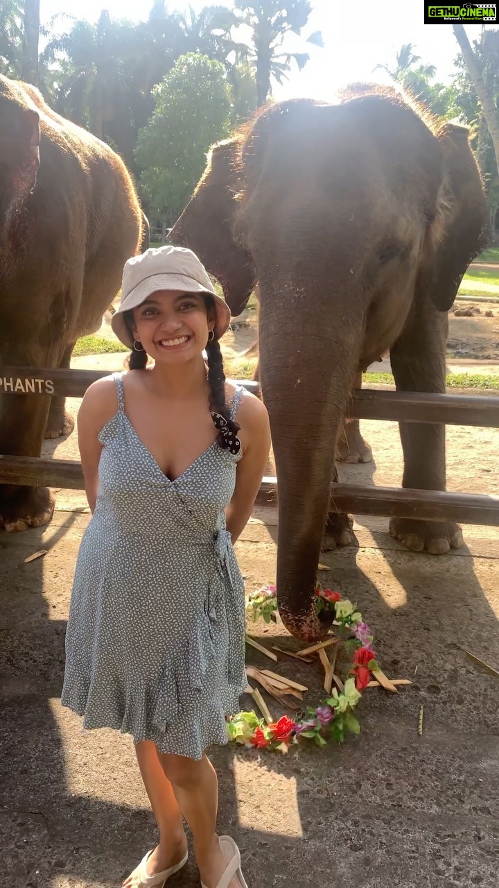 Anna Ben Instagram - Bamboozled by the baby elephant 🐘❤️ Mason Elephant Park & Lodge