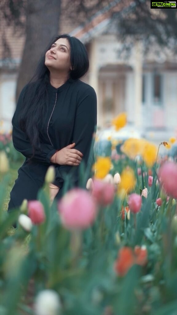 Anu Sithara Instagram - 📷 @vishnuprasadsignature #tulips #turkiye