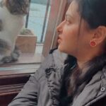 Anu Sithara Instagram – 😾🙀😼😾🐱👊