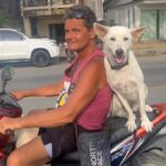Anukreethy Vas Instagram – Something to brighten your day 🐶 
.
.
.
#dogsofinstagram #dogoftheday #dog #doglover #dogsonvacation #trendingreels #trending #trendingsongs #trendingaudio #petstagram #doglovers #cutedogs #phuket #thailand #holiday Phuket
