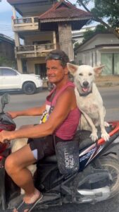 Anukreethy Vas Instagram - Something to brighten your day 🐶 
.
.
.
#dogsofinstagram #dogoftheday #dog #doglover #dogsonvacation #trendingreels #trending #trendingsongs #trendingaudio #petstagram #doglovers #cutedogs #phuket #thailand #holiday