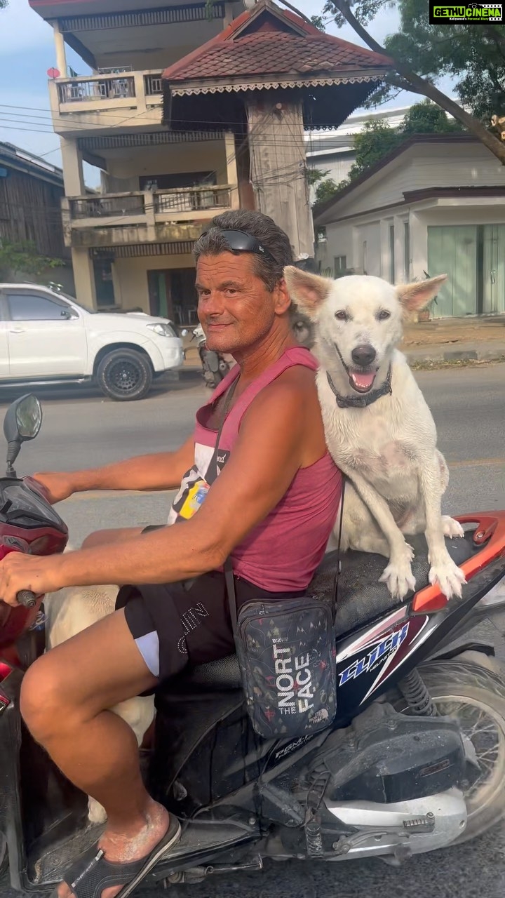 Anukreethy Vas Instagram - Something to brighten your day 🐶 . . . #dogsofinstagram #dogoftheday #dog #doglover #dogsonvacation #trendingreels #trending #trendingsongs #trendingaudio #petstagram #doglovers #cutedogs #phuket #thailand #holiday Phuket