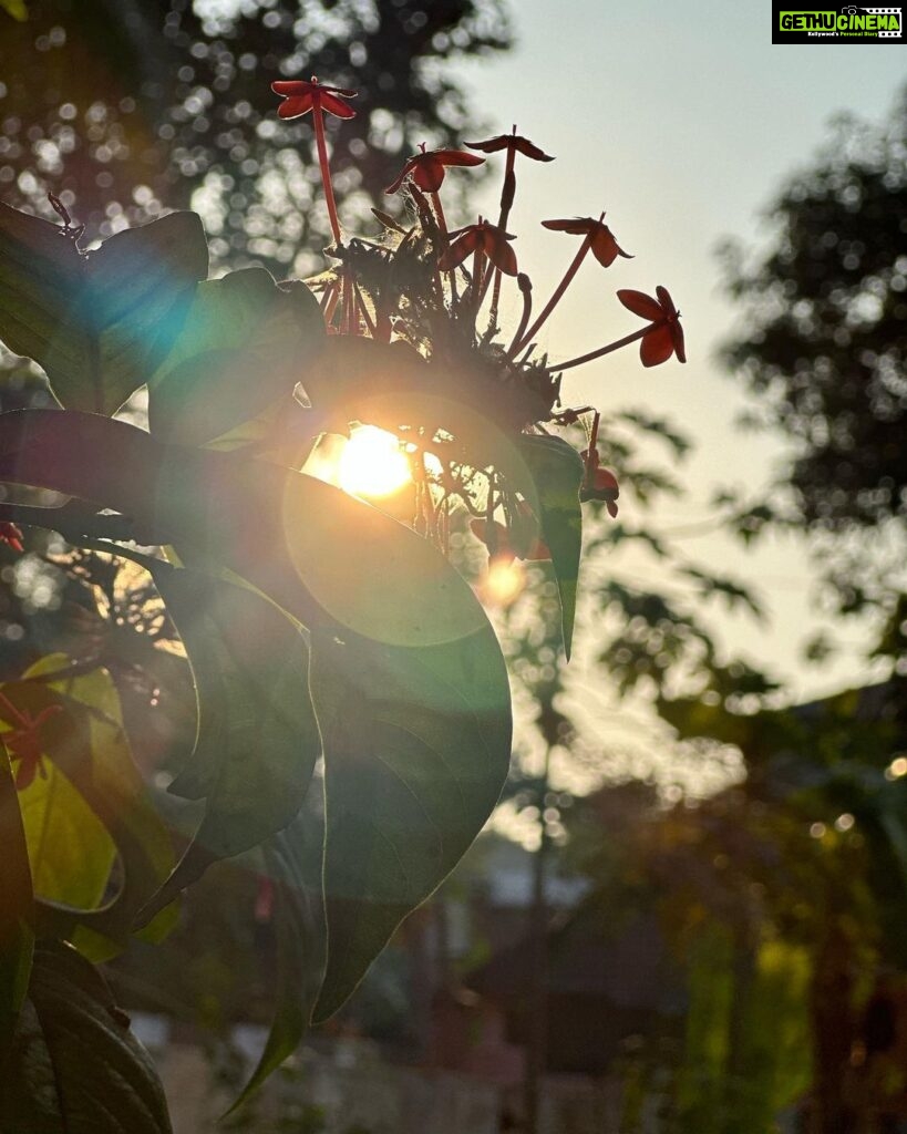 Anupama Parameswaran Instagram - Veedu 🏡